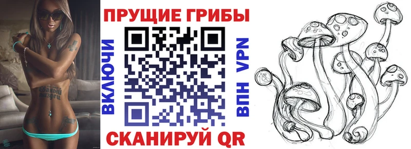 Купить где  Козельск  Галлюциногенные грибы прущие грибы 